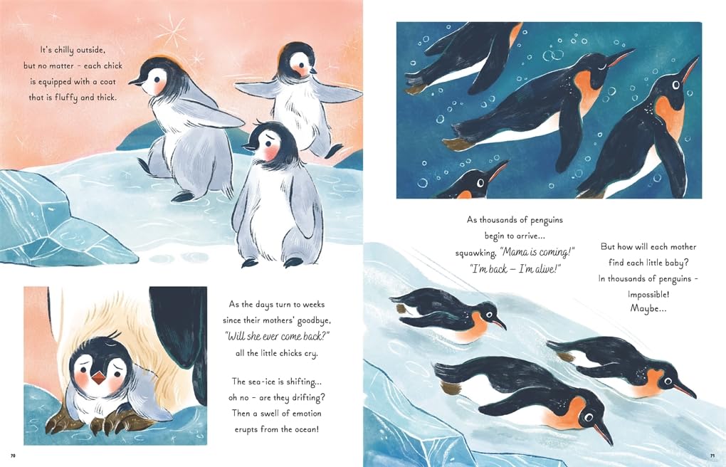 Book | 5 Minute Ocean Stories