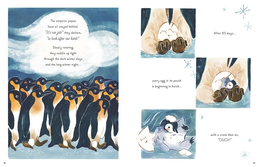 Book | 5 Minute Ocean Stories