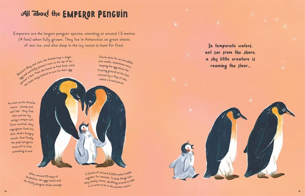 Book | 5 Minute Ocean Stories