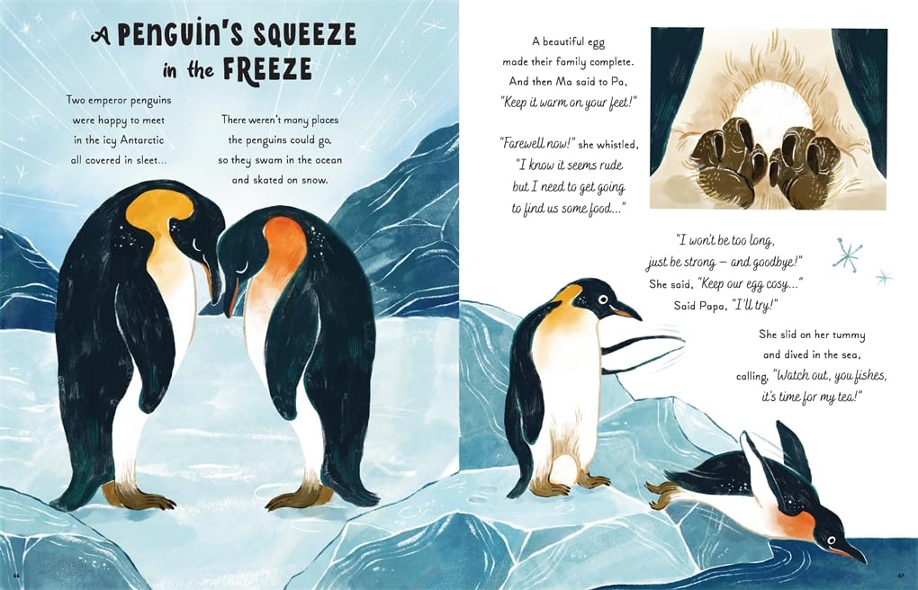 Book | 5 Minute Ocean Stories