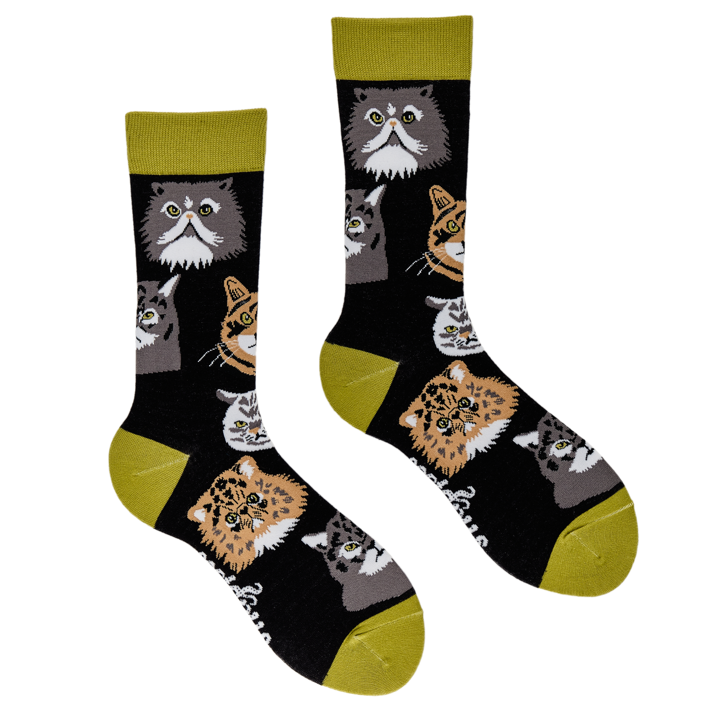 Socktopus | Grumpy Cats Socks | BLACK | L UK 9-12