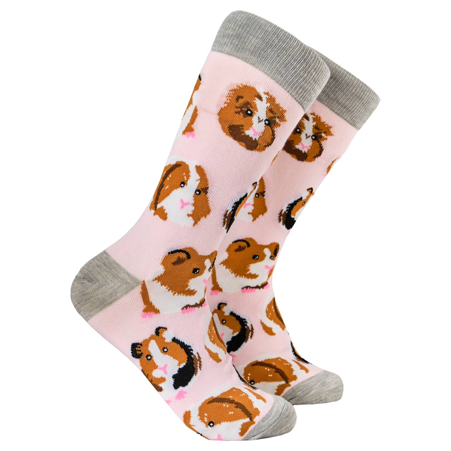 Socktopus | Womens Socks | Guinea Pigs