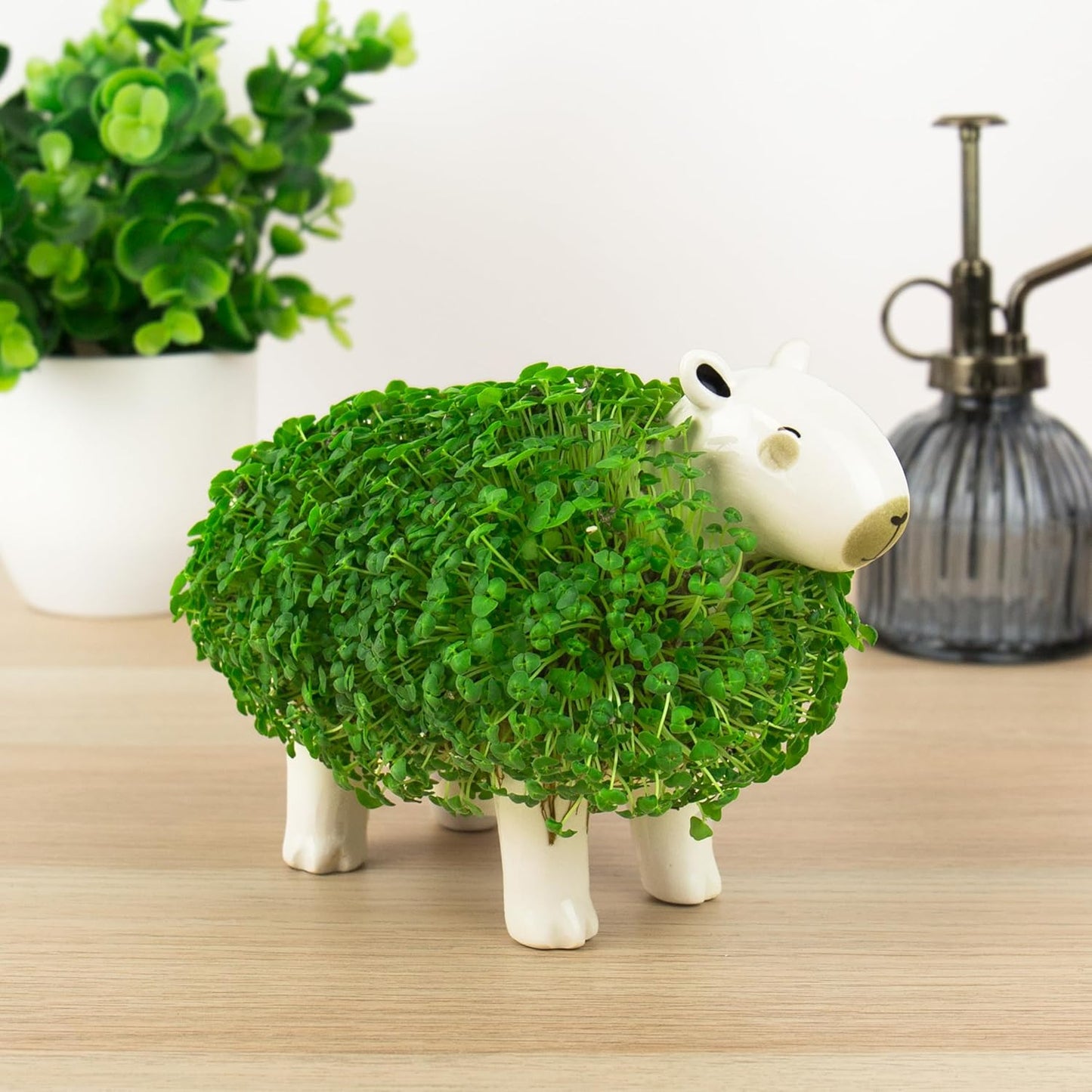 Gift Republic | Capybara Chia Planter