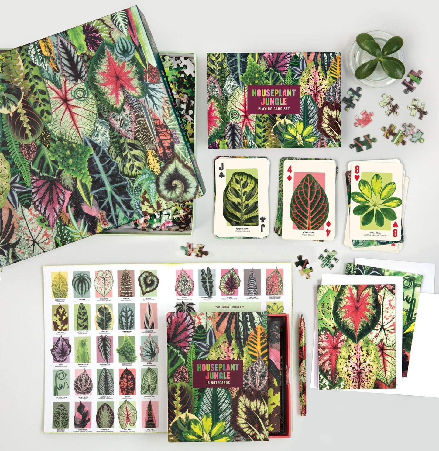 Jigsaw Puzzle | Galison 1000 pieces | Houseplant Jungle