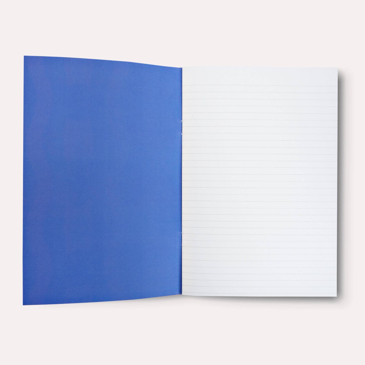 The Completist | Slimline Notebook: Dot Grid | Casetta