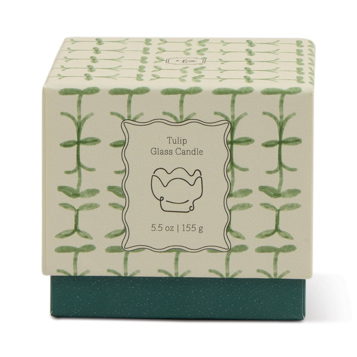 Paddywax | Tulip Green Glass Candle | Verbena & Lemongrass