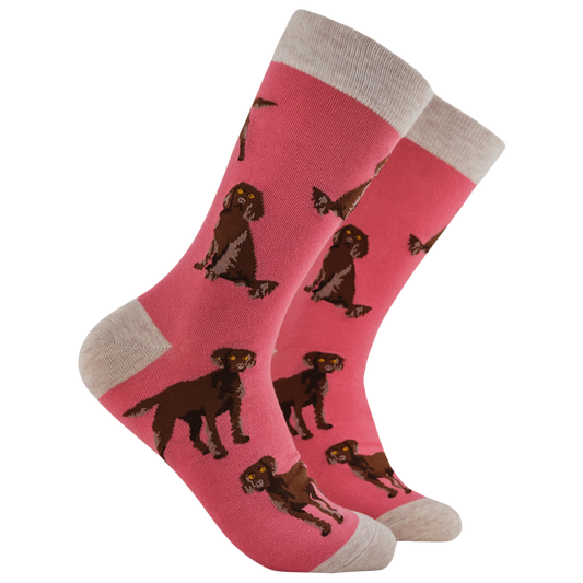 Socktopus | Span au Chocolat | Pink | S UK 4-8