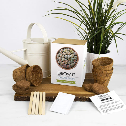 Grow It | Unkillable Plant