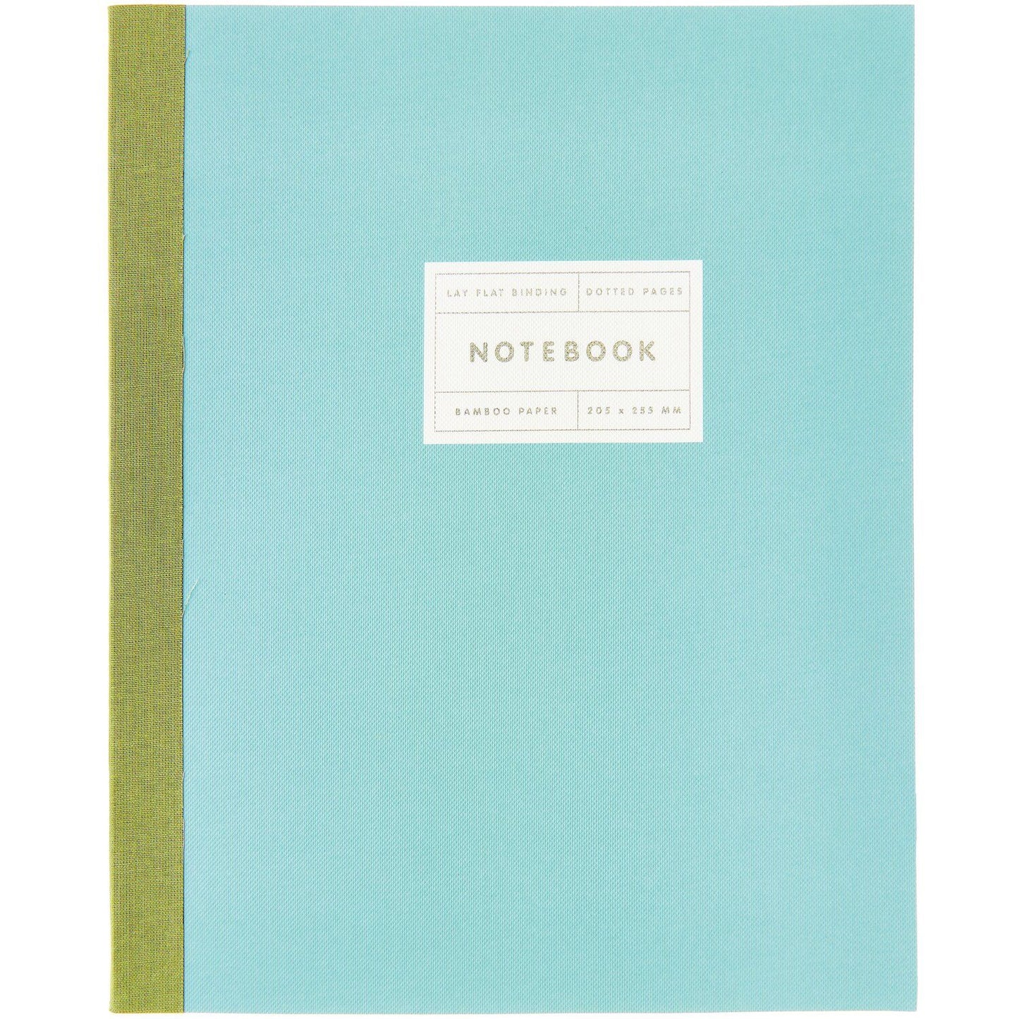 Rico | Paper Poetry 80gsm Dot Notebook | Large | Mint + Silver Edge
