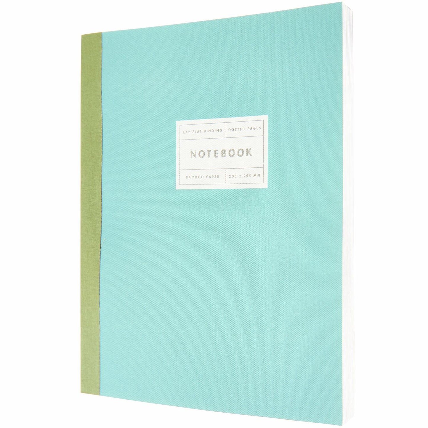 Rico | Paper Poetry 80gsm Dot Notebook | Large | Mint + Silver Edge