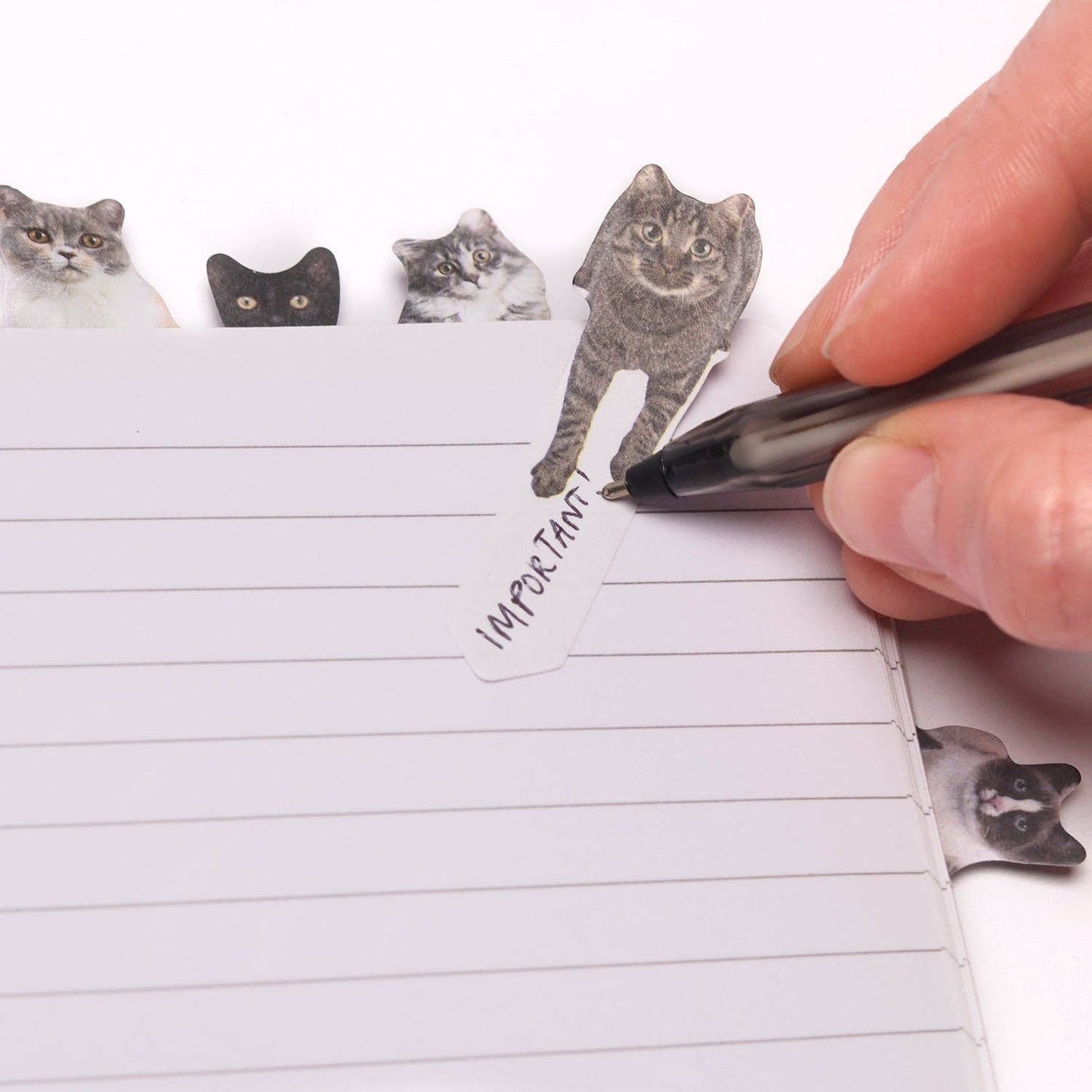 Pikkii | Cat Page Markers