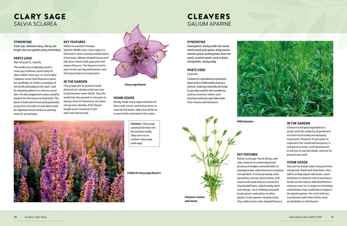 Book | Plants That Heal | Rachel Newcombe