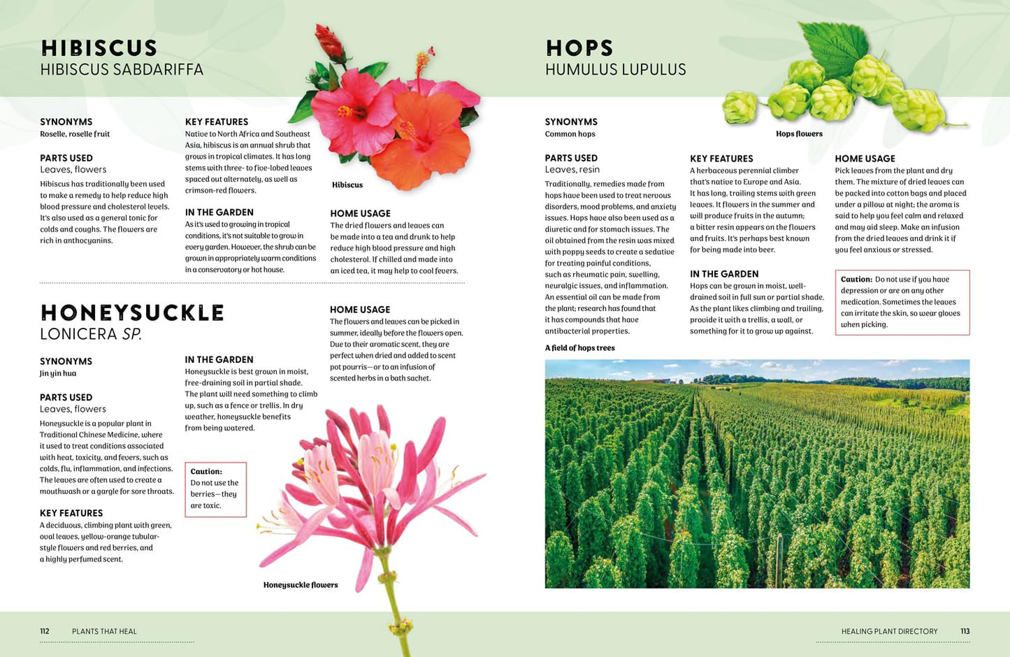 Book | Plants That Heal | Rachel Newcombe