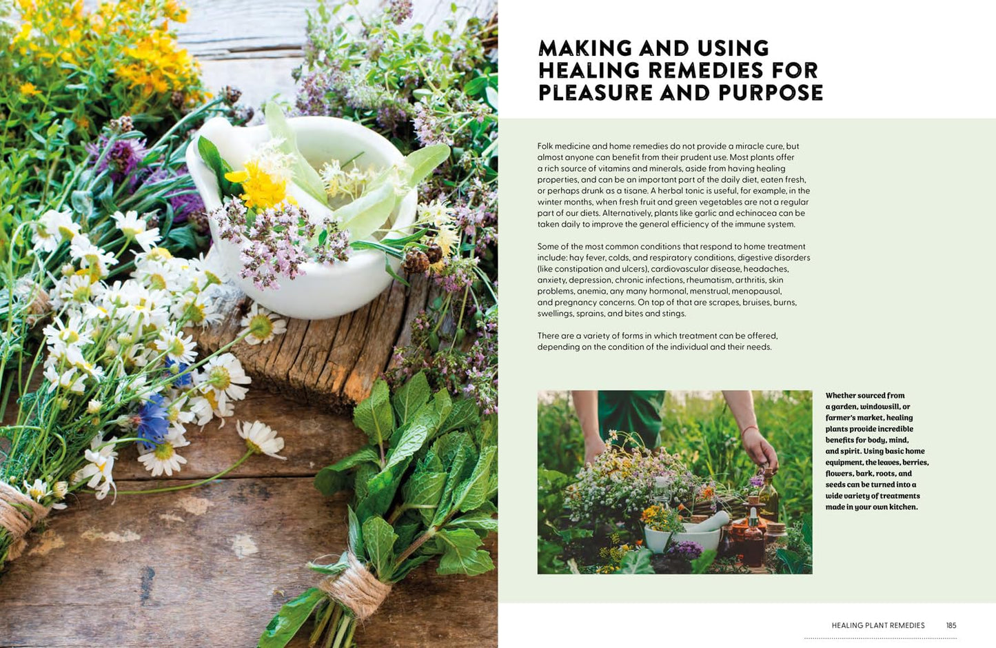 Book | Plants That Heal | Rachel Newcombe