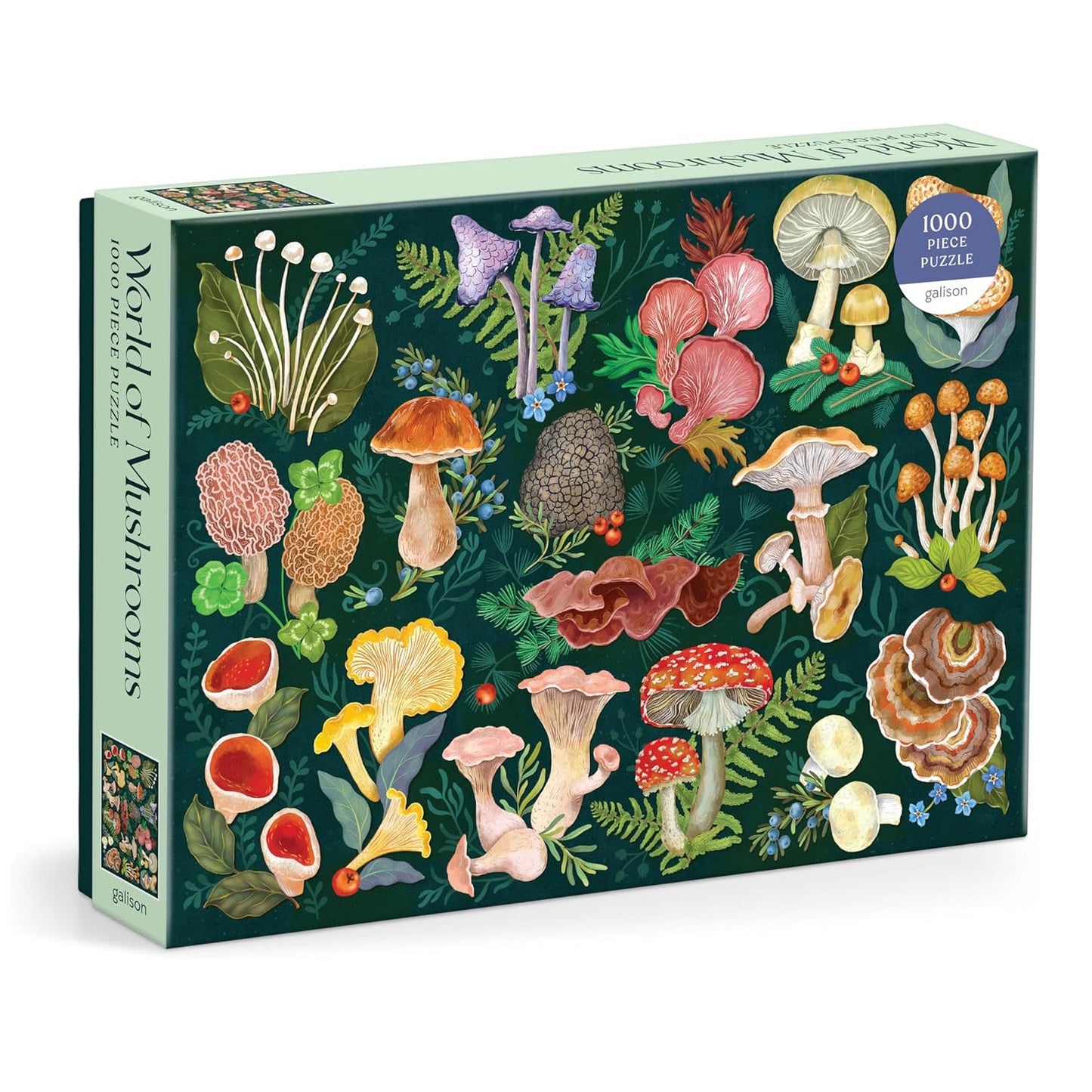 Jigsaw Puzzle | 1,000 pieces | World of Mushrooms