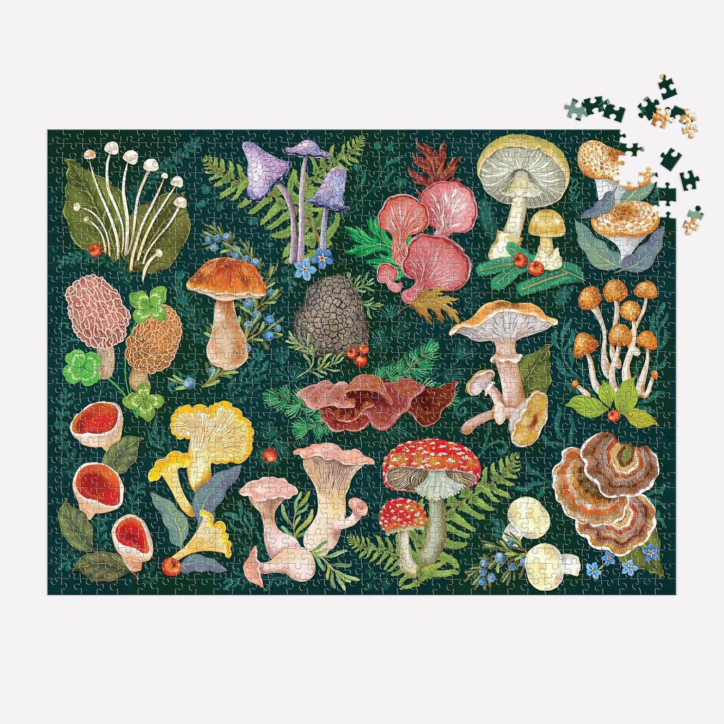 Jigsaw Puzzle | 1,000 pieces | World of Mushrooms