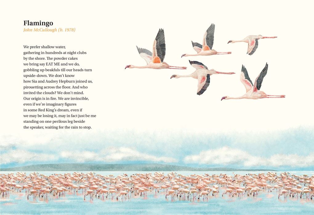 Book | Book of Bird Poems