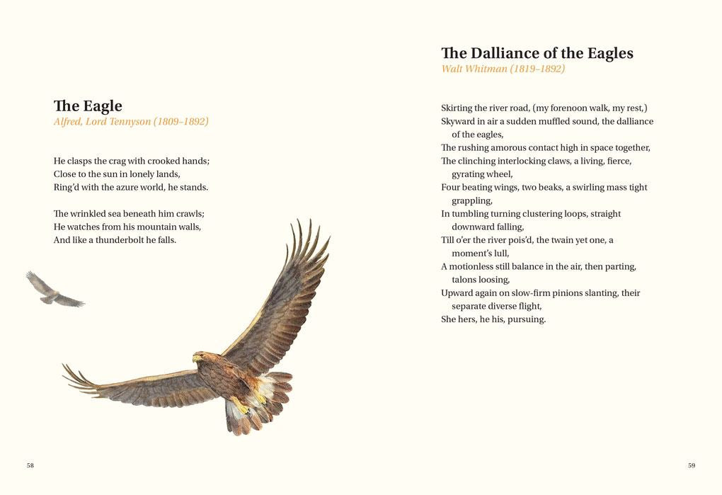 Book | Book of Bird Poems