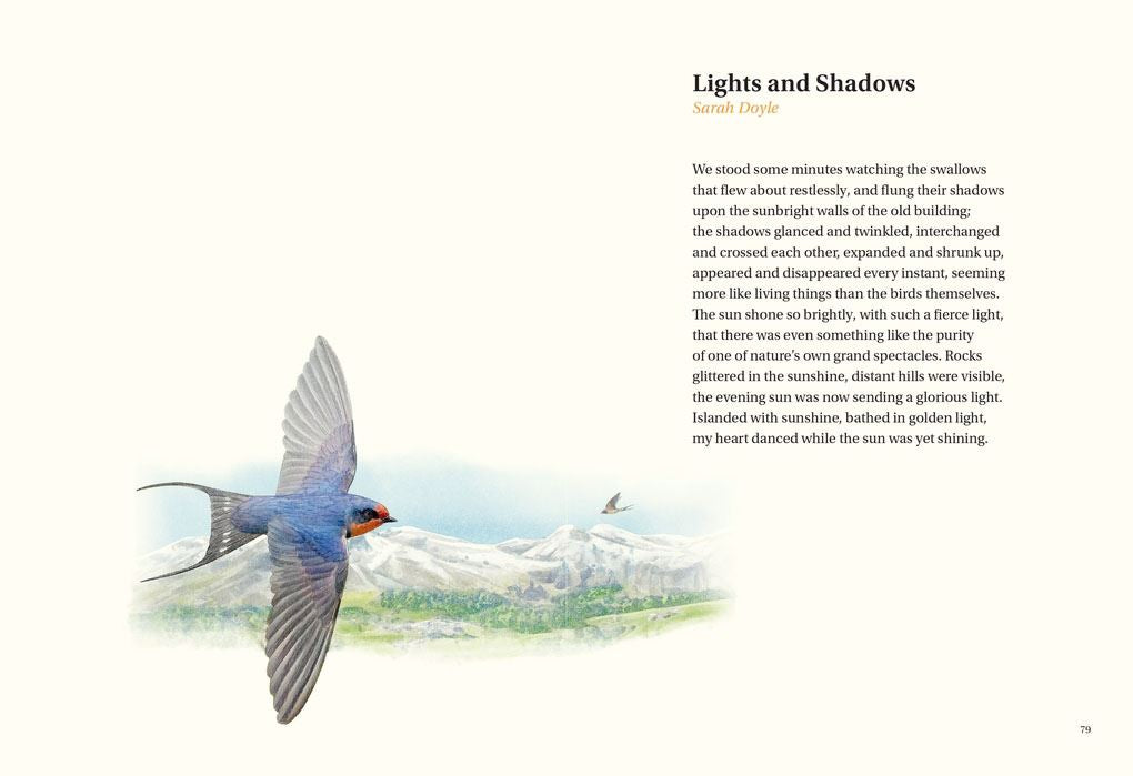 Book | Book of Bird Poems