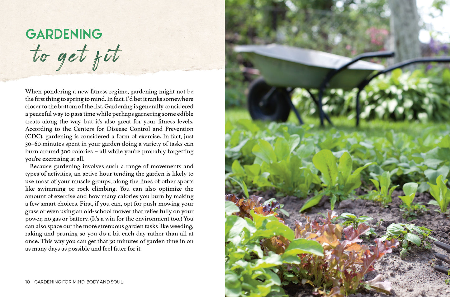 Book | Gardening for Mind Body and Soul