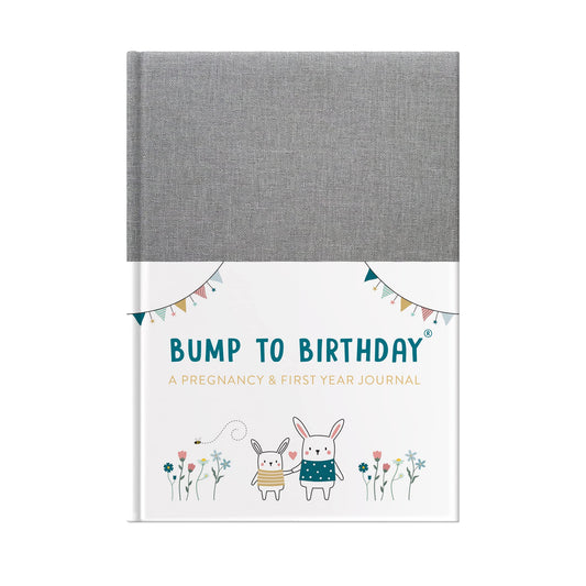 Book of "Bump to Birthday"