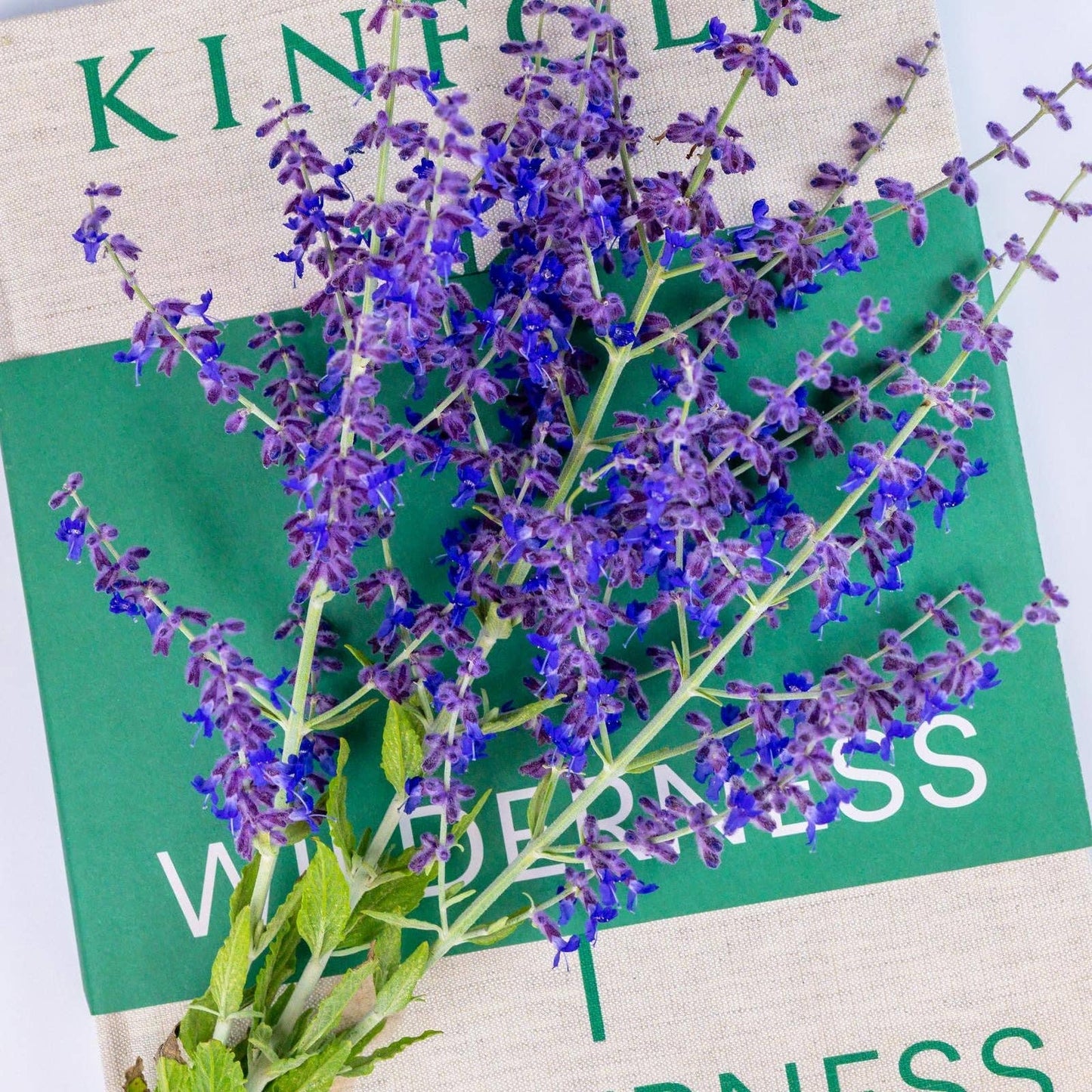 OLOR | Mini Jar Candle | English Garden Lavender