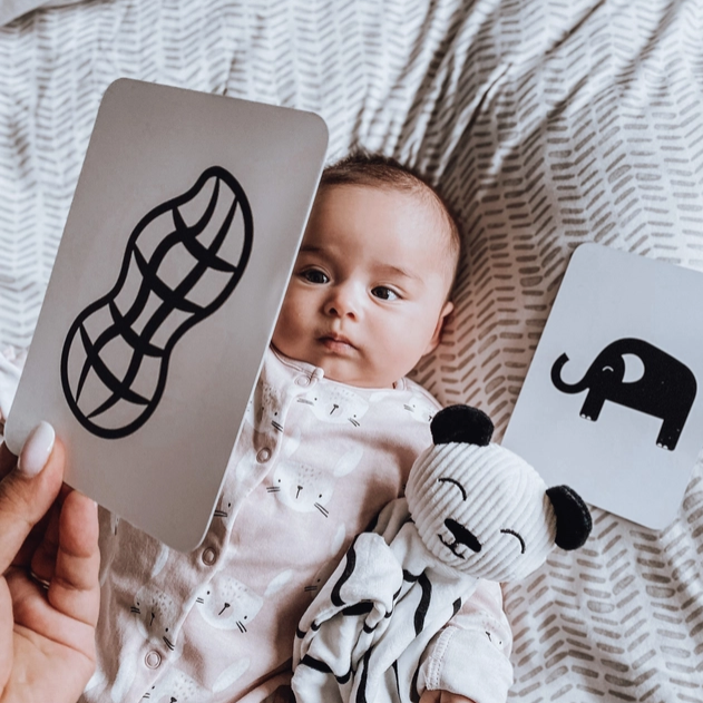 Priya & Peanut | Baby Sensory Flash Cards