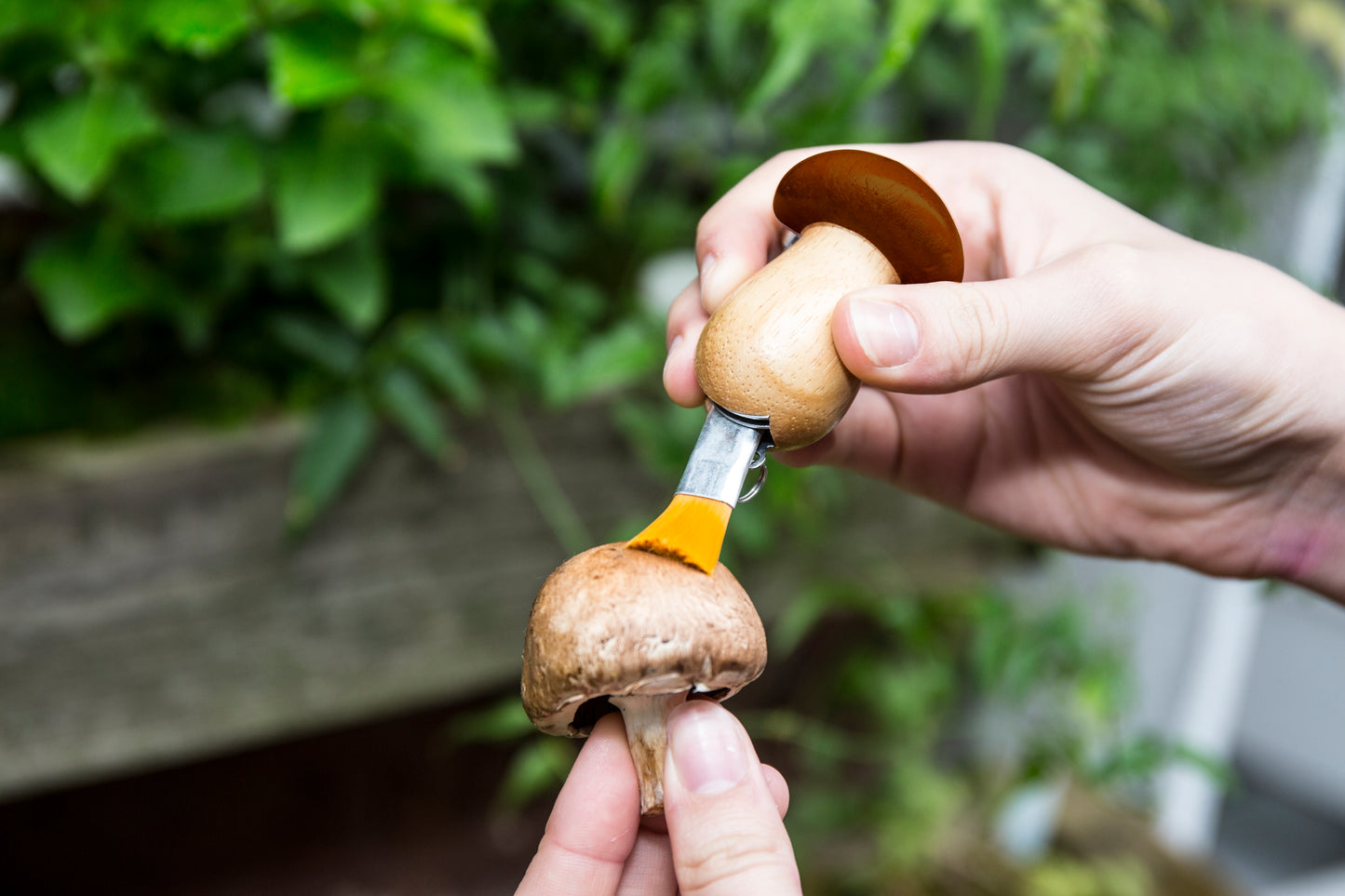 Kikkerland | Mushroom Tool Keychain