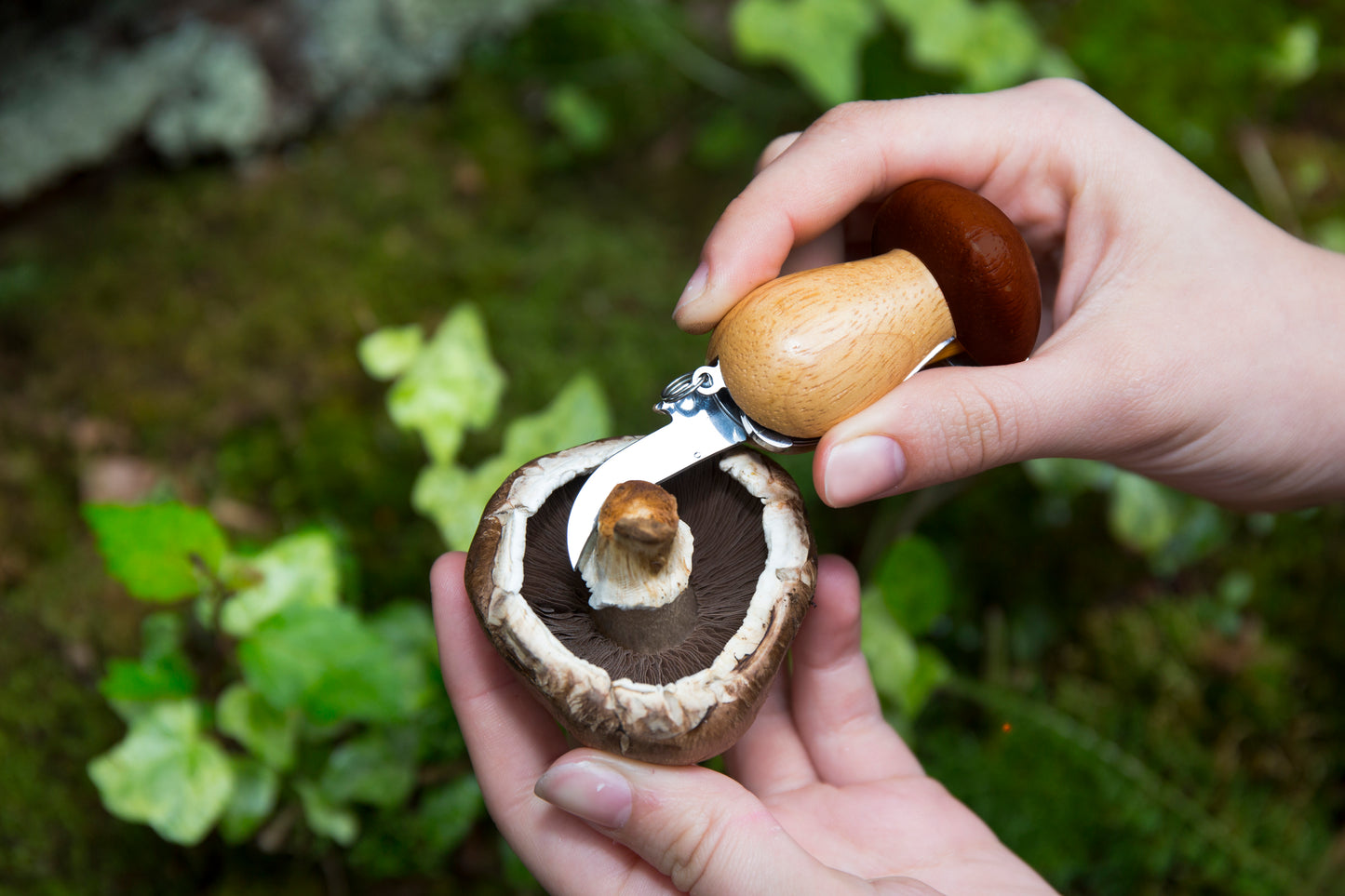 Kikkerland | Mushroom Tool Keychain