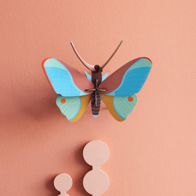 3D Wall Art | Claudina Butterfly