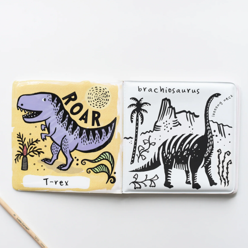 Bath Book Color Me | Who loves dinosaurs?