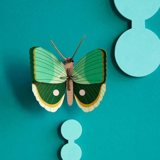 3D Wall Art | Fern Striped Butterfly