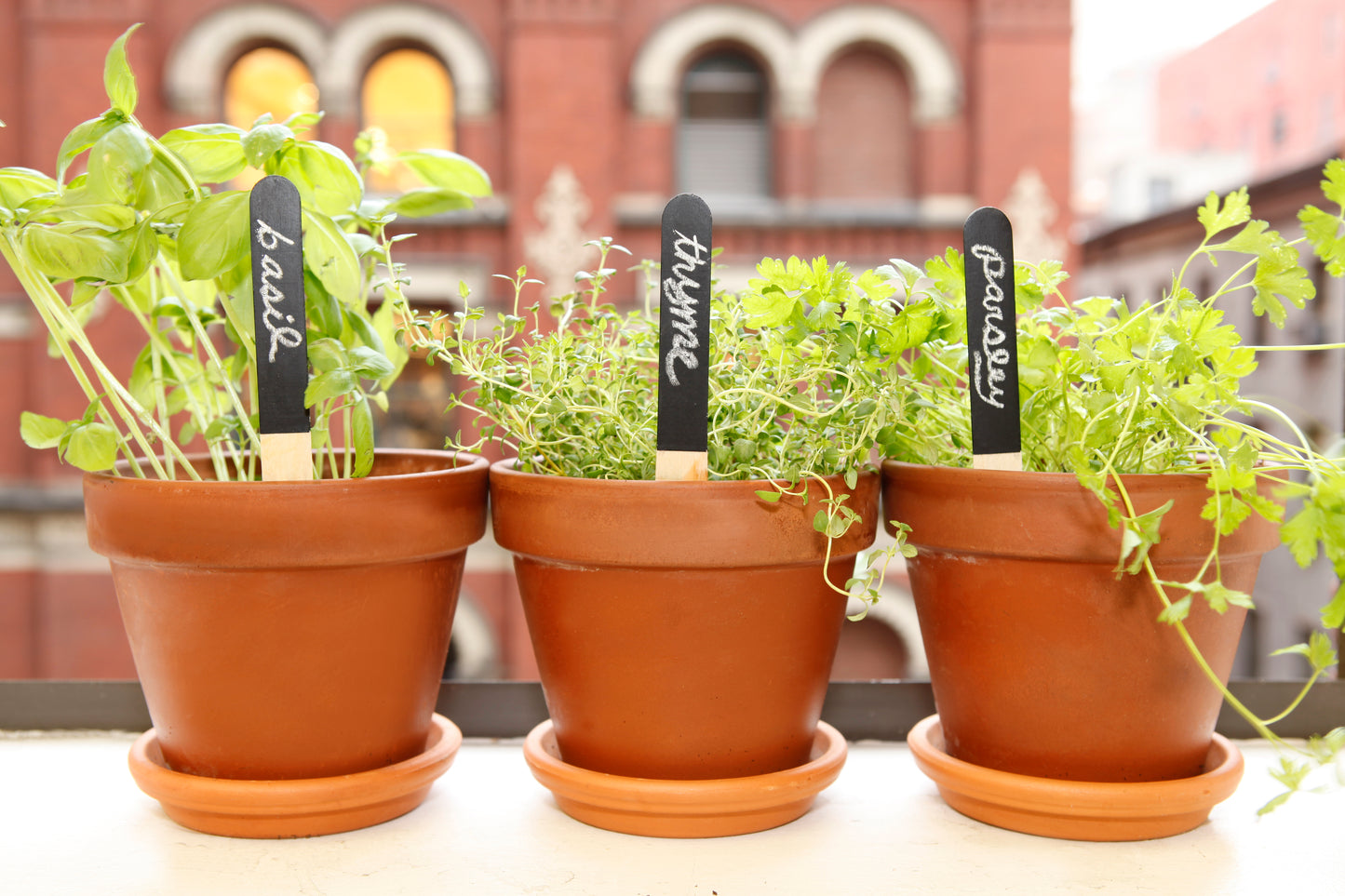 Reusable Garden Markers