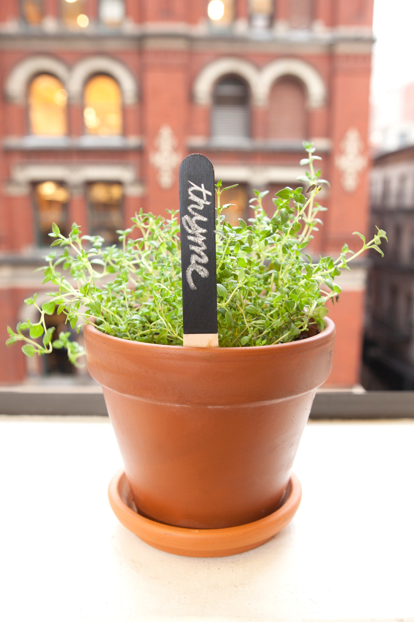 Reusable Garden Markers