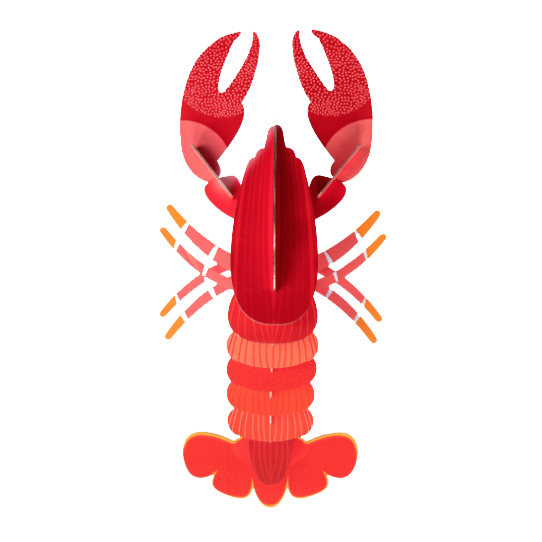 3D Wall Art | Lobster