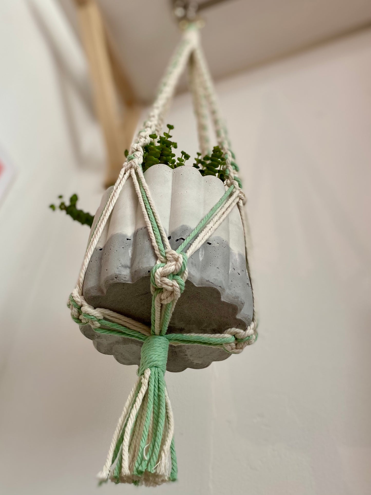 Northern Rose | Macrame Plant Hanger | Off White & Mint