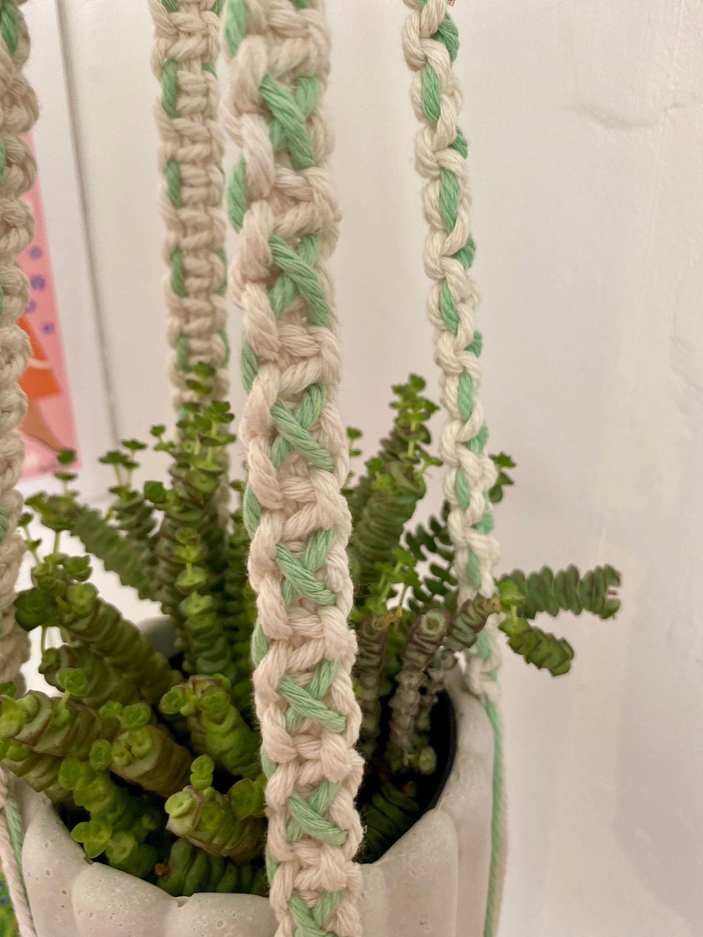 Northern Rose | Macrame Plant Hanger | Off White & Mint