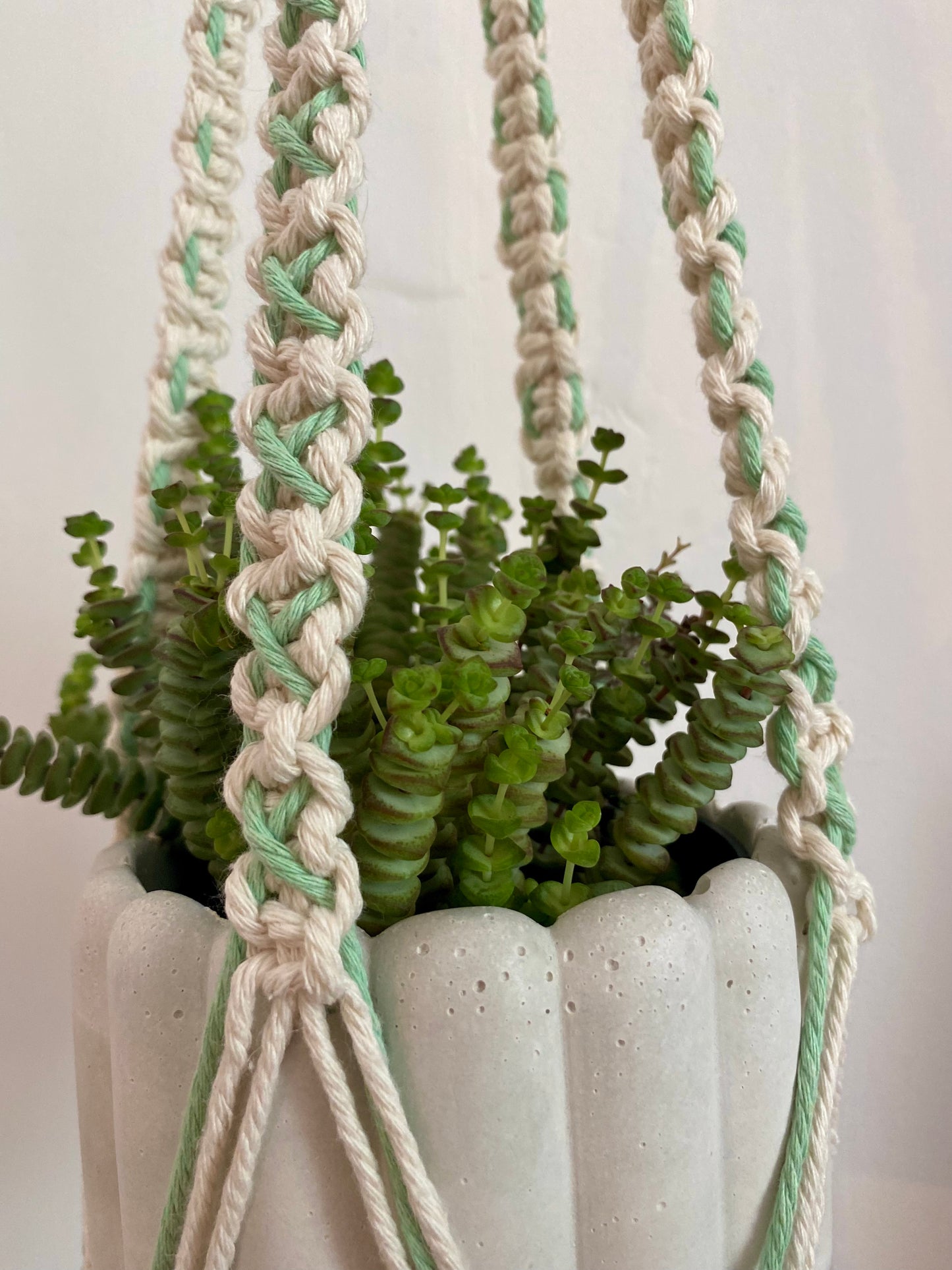 Northern Rose | Macrame Plant Hanger | Off White & Mint