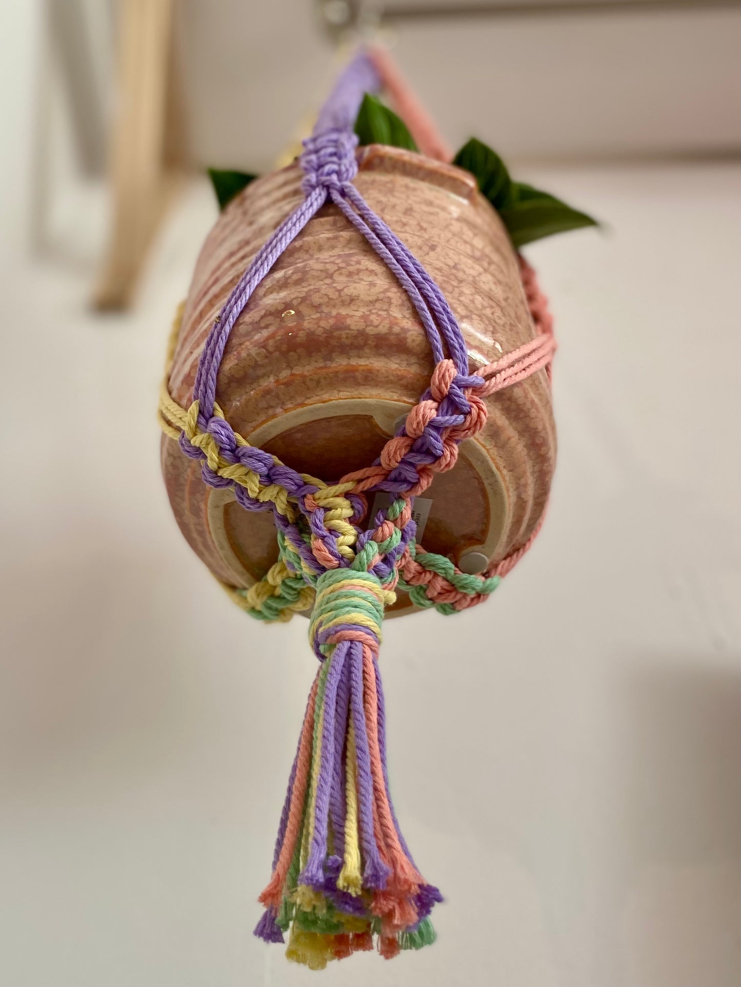 Northern Rose | Macrame Plant Hanger | Pastels & Brass Tube Beads