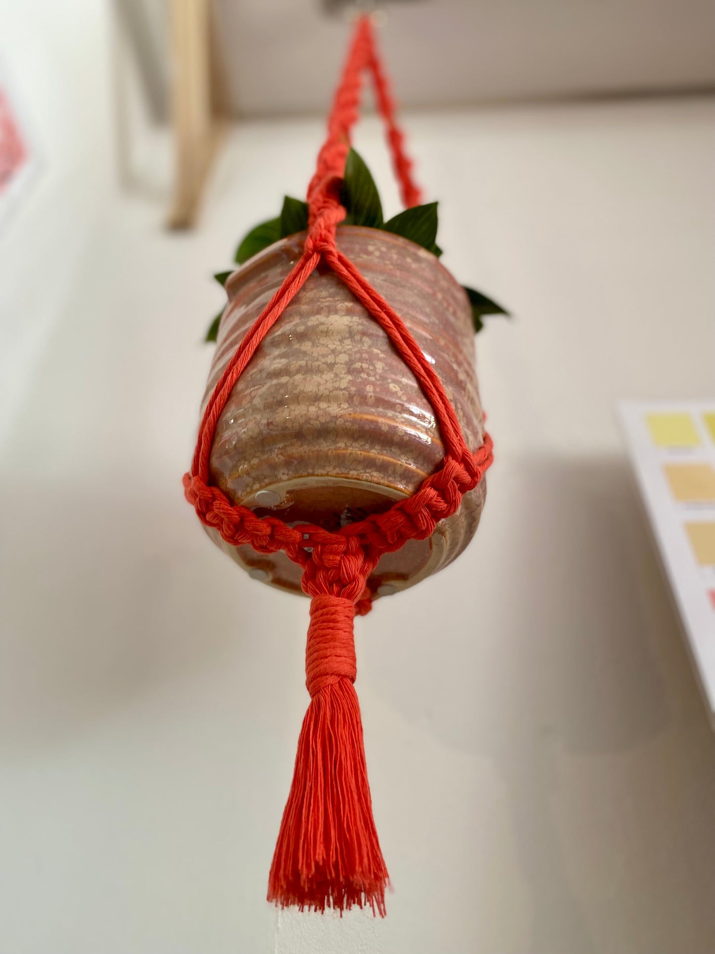 Northern Rose | Macrame Plant Hanger | Coral Red & Brass Tube Beads