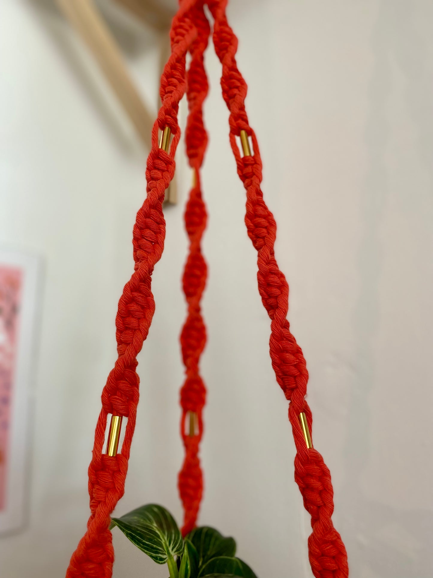 Northern Rose | Macrame Plant Hanger | Coral Red & Brass Tube Beads