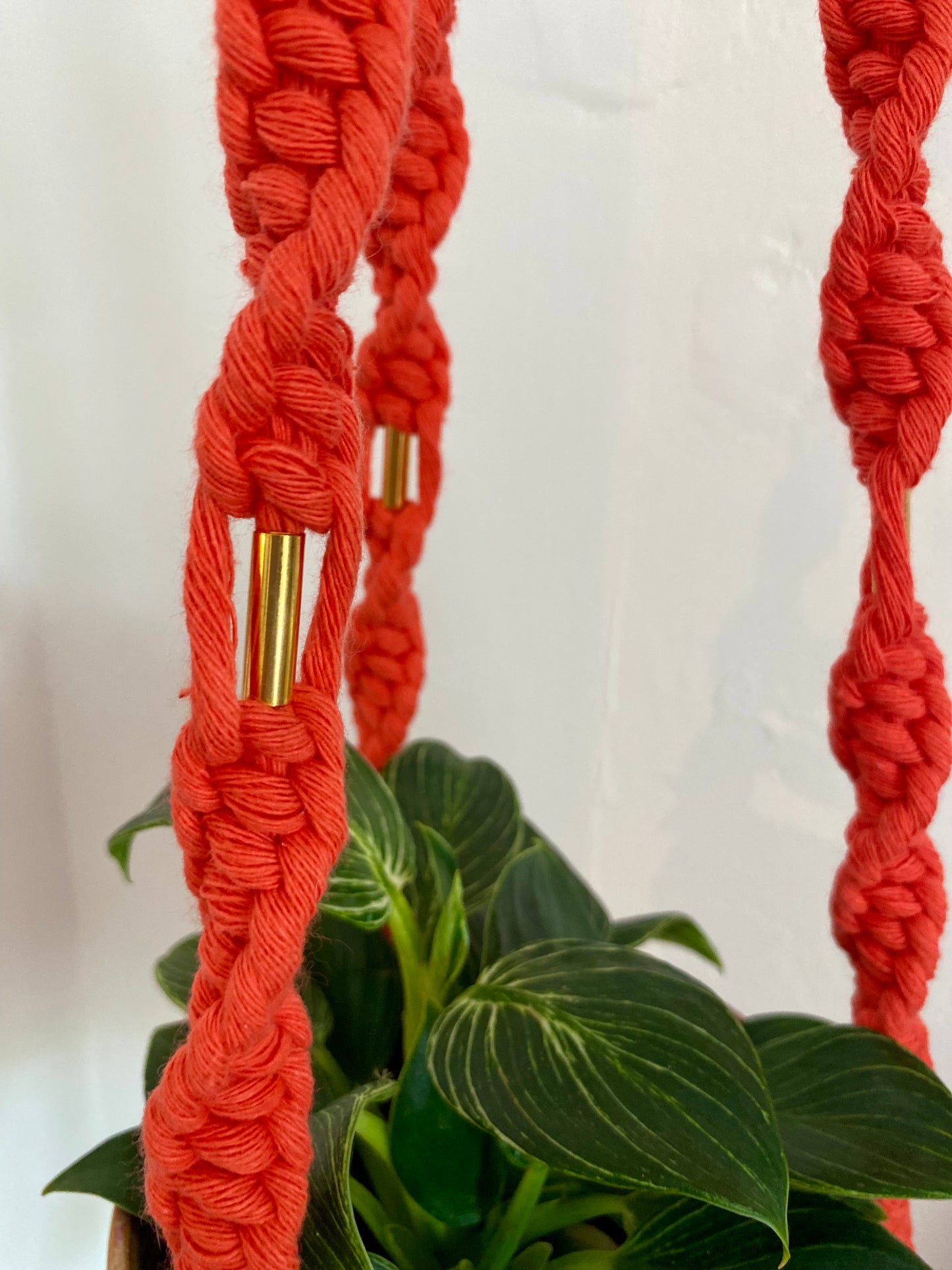 Northern Rose | Macrame Plant Hanger | Coral Red & Brass Tube Beads