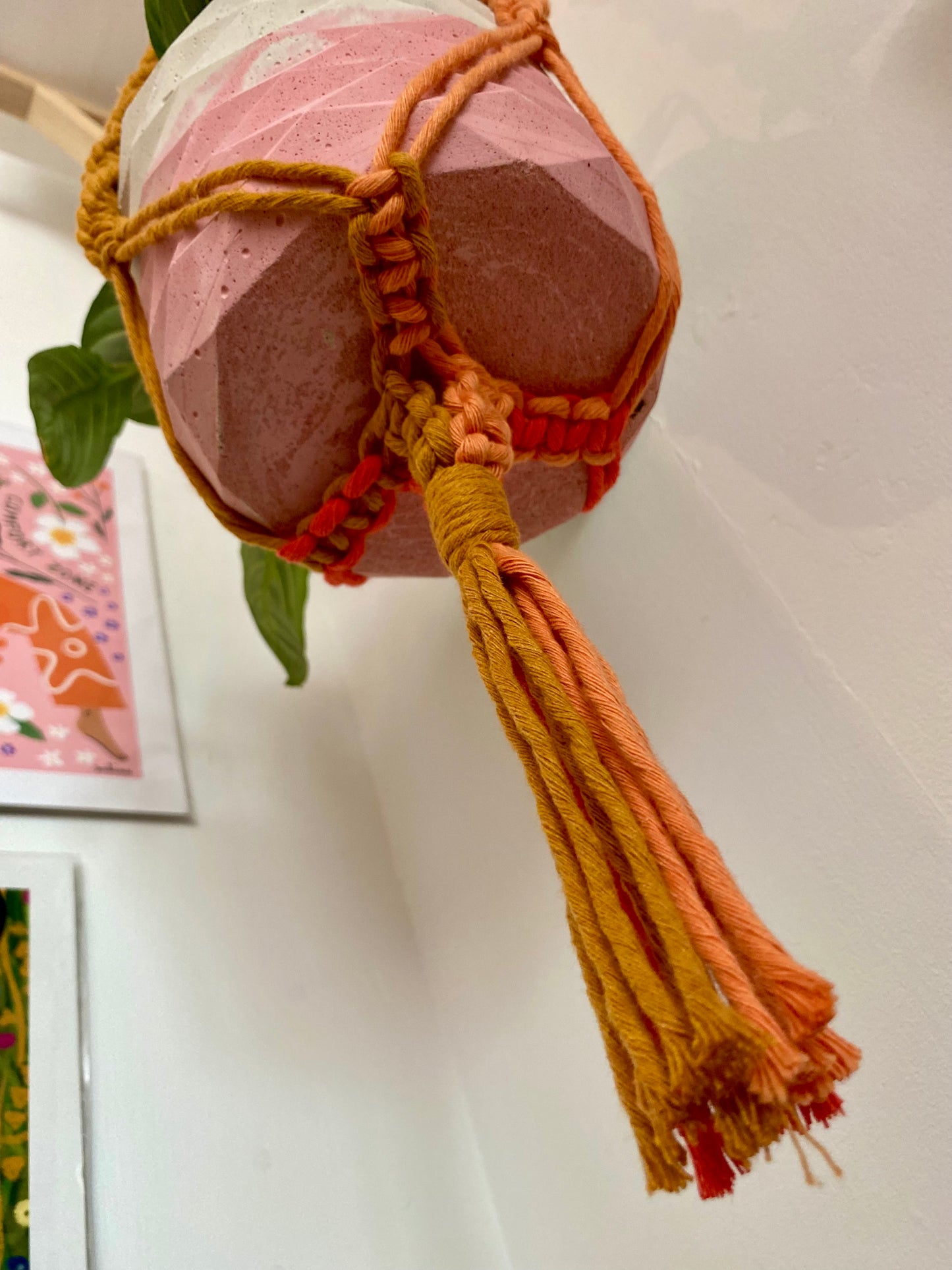 Northern Rose | Macrame Plant Hanger | Sunset & Handpainted Wooden Beads