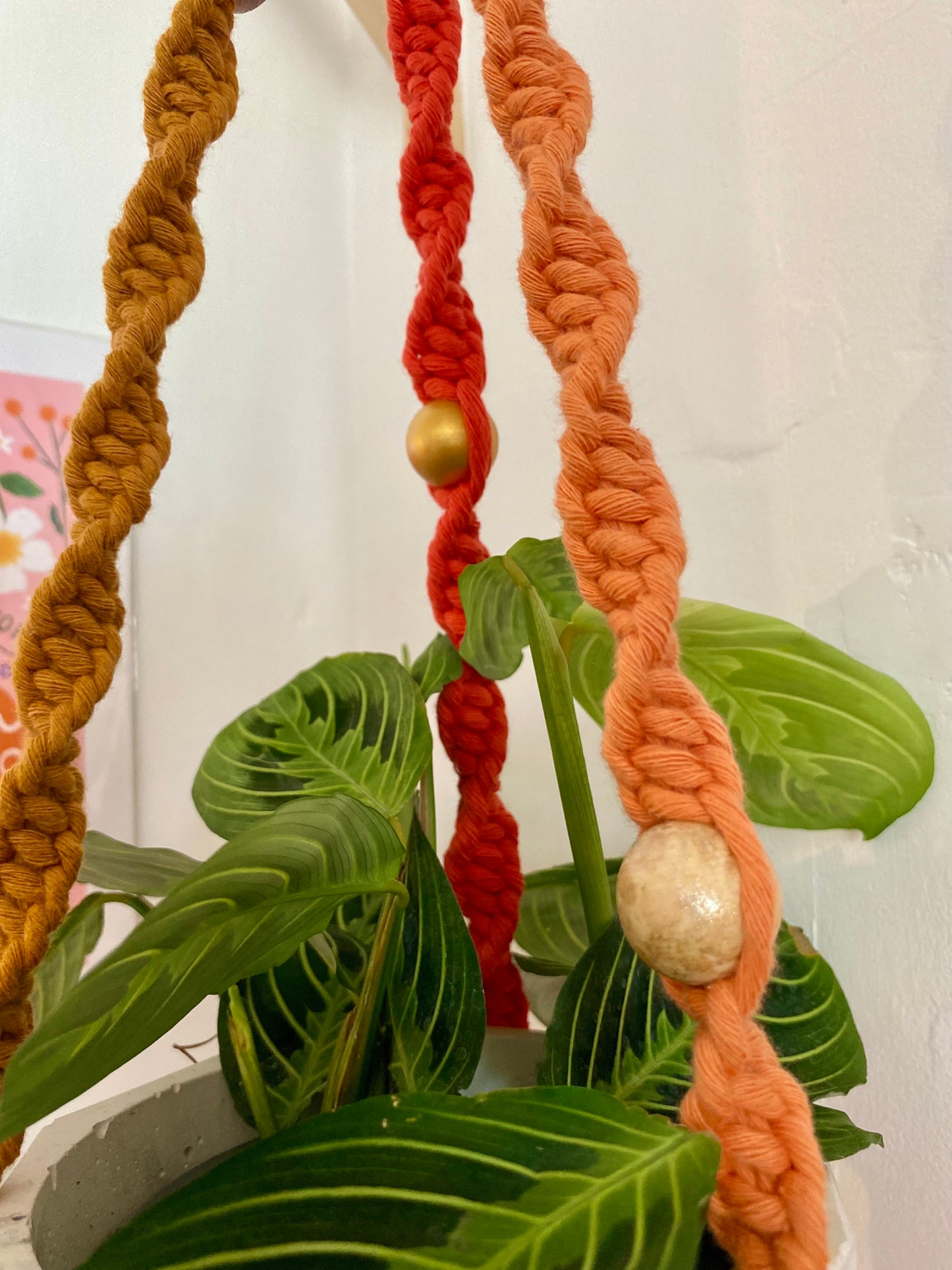 Northern Rose | Macrame Plant Hanger | Sunset & Handpainted Wooden Beads