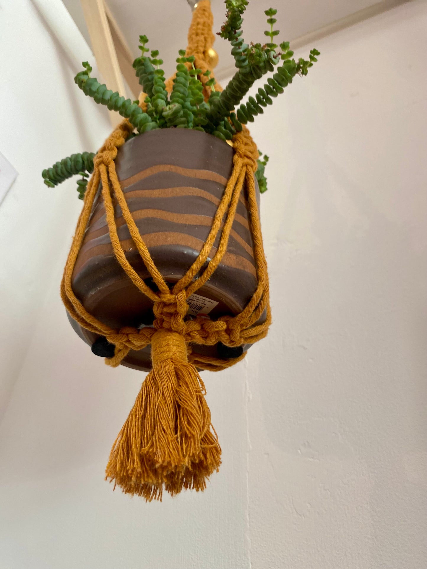 Northern Rose | Macrame Plant Hanger | Turmeric & Handpainted Wooden Beads