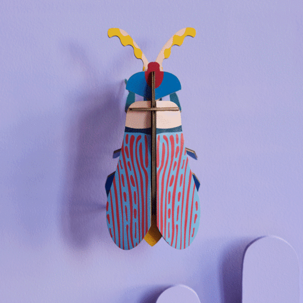 3D Wall Art | Striped Wing Beetle