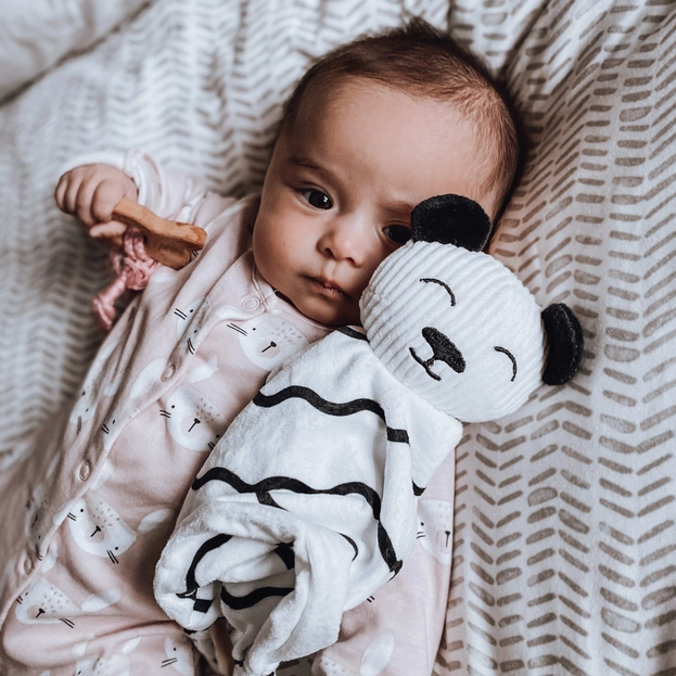 Priya & Peanut | Panda Baby Comforter Toy