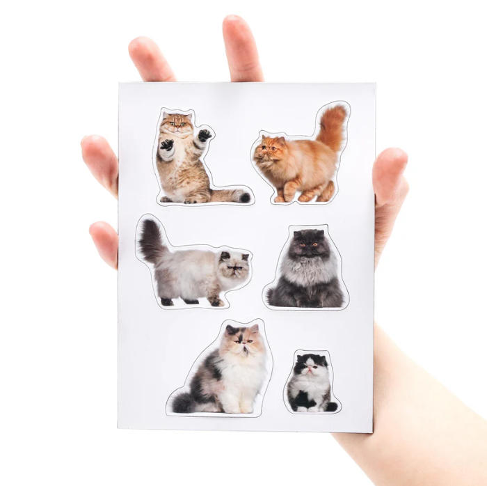 Mustard | Fridge Magnet Set of 12 | Fat Cats