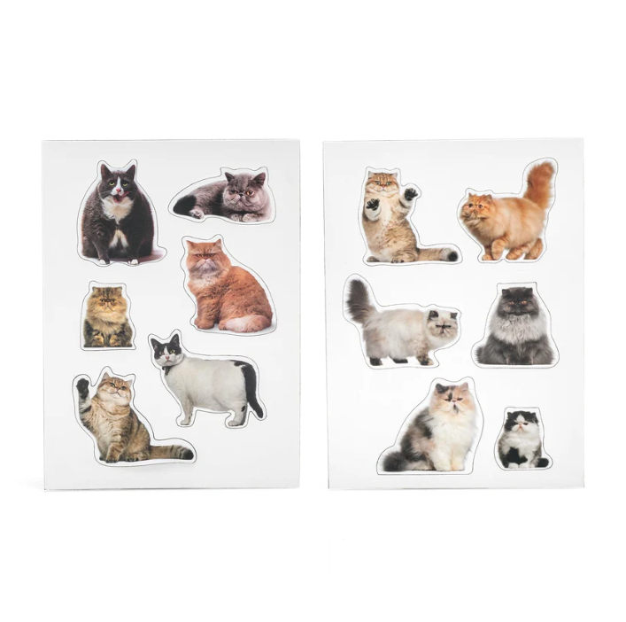 Mustard | Fridge Magnet Set of 12 | Fat Cats