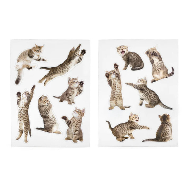 Mustard | Fridge Magnet Set of 12 | Action Cats